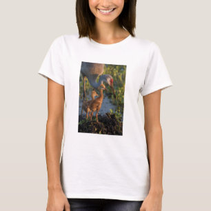 T-shirt Grue du Canada avec poussins, Floride