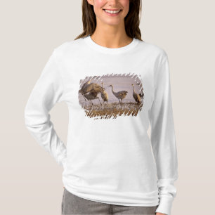 T-shirt Grues du Canada Grus canadensis) Platte