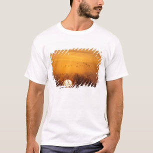 T-shirt Grues du Canada silhouettées sur fond de soleil le