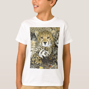T-shirt Guépard CUB 2