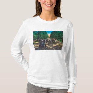 T-shirt Gués de Modèle-T sur Kearney AvenueFresno, CA
