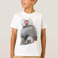 H est pour Hamadryas Baboon