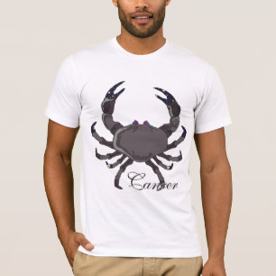 T-shirt Habillement de Cancer de Starlight