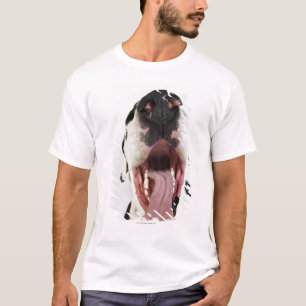 T-shirt Harlequin great dane avec la bouche ouverte, plan