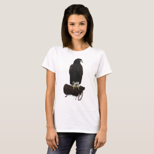 T-shirt Harris Hawk sur Glove