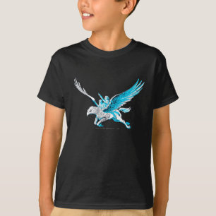 T-shirt Harry et Hermione sur un Hippogriff