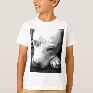 T-shirt harry potier cicatrice chien blanc pit bull