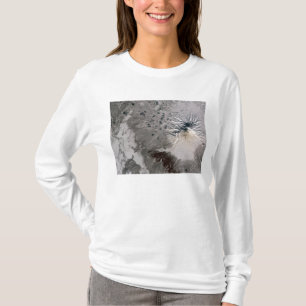 T-shirt Hausses d'une plume de riches de cendre