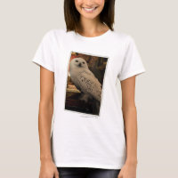 Hedwig 3