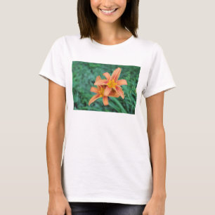 T-shirt Hémérocalle
