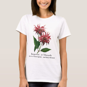 T-shirt Herb Garden Series - Bergamot