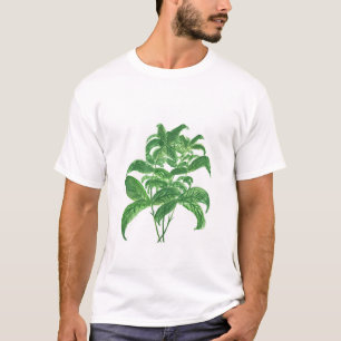 T-shirt Herbes de basques jardin botanique jardin aquarell