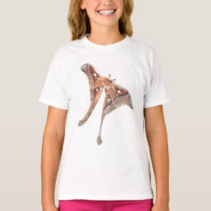 T-shirt hercules moth