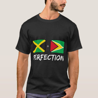 T-shirt Heri, Drapeau D'ADN Mélangé De Perfection Jamaïcai