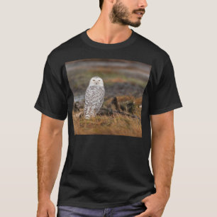 T-shirt Hibou de Milou sur un rondin