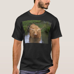 T-shirt Highland Cattle