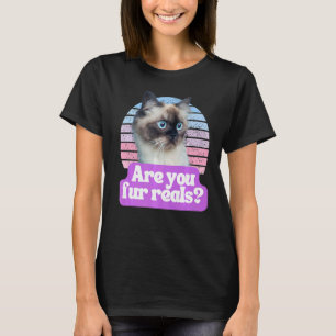 T-shirt Hilaried Chat Mème Kitty Feline Êtes-vous vraiment