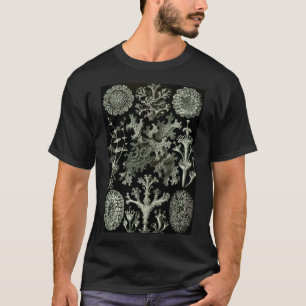 T-shirt Histoire naturelle Lichen