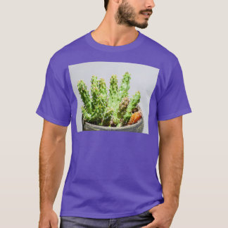 T-shirt Huernia hystrix Porcupine Huernia