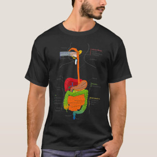 T-shirt Human Body Digestive System Gastrointestinal Tract