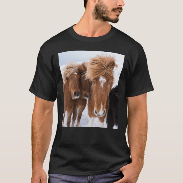 T-shirt Icelandic Horses nuzzle (Devant)