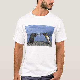 T-shirt Île de Géorgie du Sud, baie de St. Andrews, roi