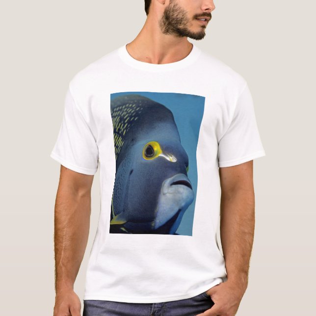 T-shirt Îles Caïmans, Pomacanthus française (Devant)