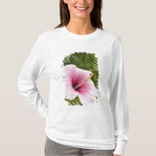 T-shirt Îles Cook, Atiu. Fleur d'hibiscus.