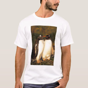 T-shirt Îles Falkland. Manchots papous. (Pyroscelis