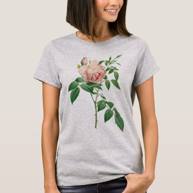 T-shirt Illustration botanique de Rosa indica (Devant)