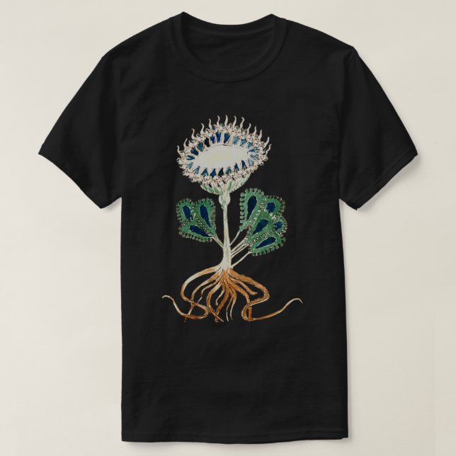 T-shirt Illustration du Plante du manuscrit Voynich 1 (Design devant)