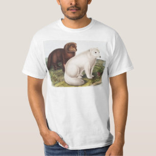 T-shirt Illustration du renard arctique (Vulpes lagopus)