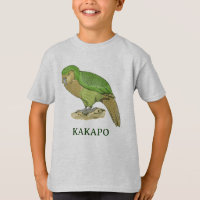 Illustration Kakapo