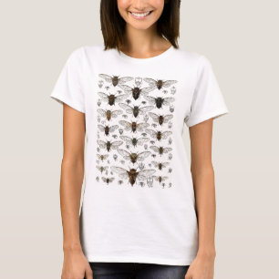 T-shirt Illustration vintage de cigales