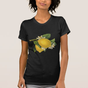 T-shirt Illustration vintage de citrons