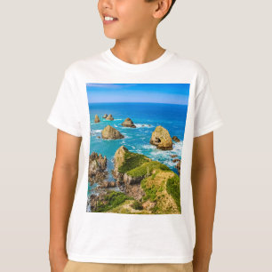 T-shirt îlots Nugget Point, Nouvelle-Zélande