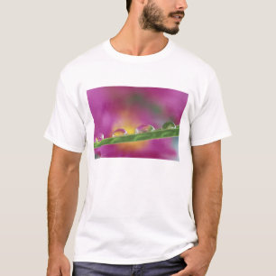 T-shirt Image d'asters formés dans des gouttelettes d'eau
