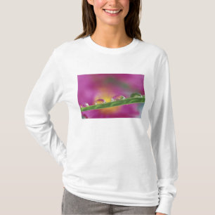 T-shirt Image d'asters formés dans des gouttelettes d'eau