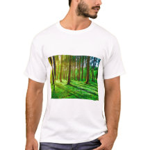 Image de la forêt verte - Nature luxuriante