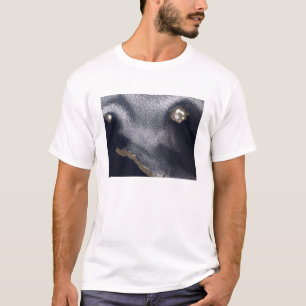 T-shirt Image satellite de l'île de Semisopochnoi