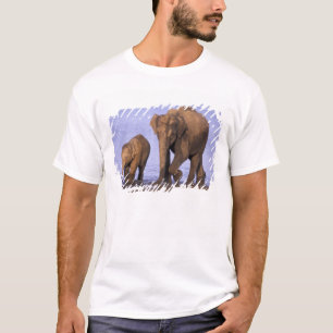 T-shirt Inde, Parc national de Nagarhole. éléphant asiatiq