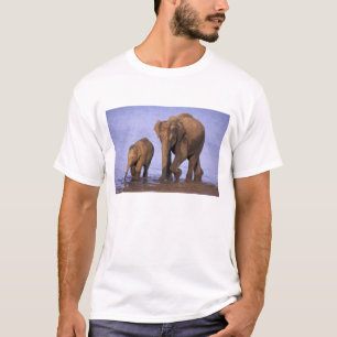T-shirt Inde, parc national de Nagarhole. Éléphant d'Asie