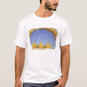 T-shirt Inde, Rajasthan, Jaisalmer. Dômes en grès