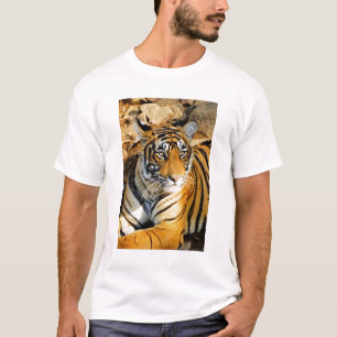 T-shirt Inde, Sawai Madhopur, Ranthambore National