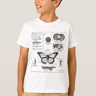 T-shirt Informations sur les papillons Monarque
