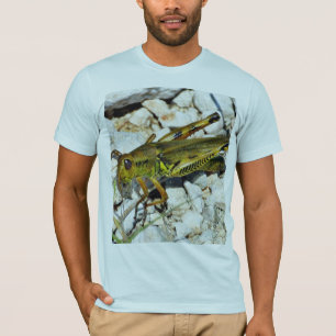 T-shirt Insecte de sauterelle