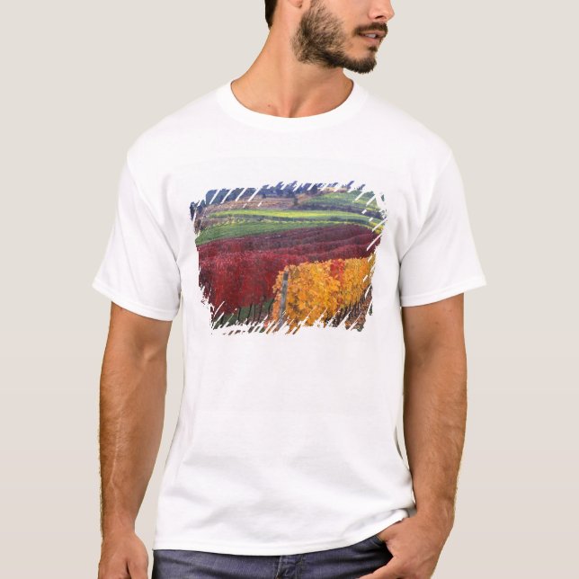 T-shirt Intense couleur rouge et jaune sur Gehring (Devant)