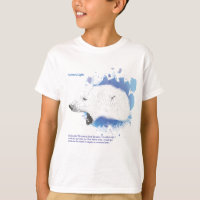 Iorek, ours blindé de ses matériaux foncés