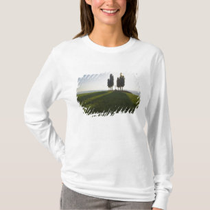 T-shirt Italie, Toscane, Cyprès en Toscane avec