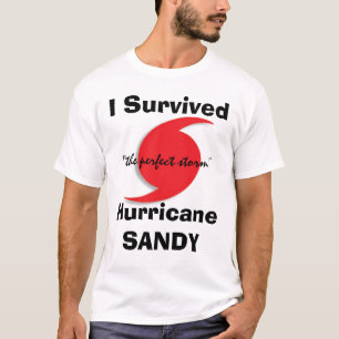 T-shirt J'ai survécu à SANDY